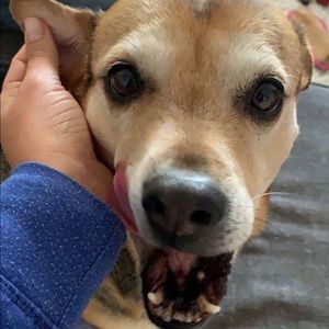 Meet your Posher, Alexia